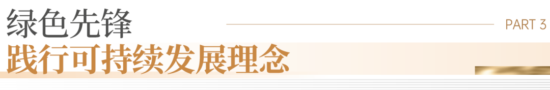 13.png 13.png