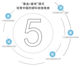 五大培育阶段
